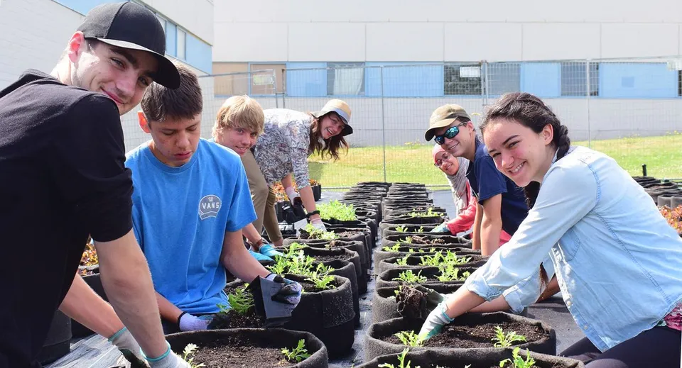 Studenti della Reynolds Secondary School piantano insieme giovani piante in un'aiuola.