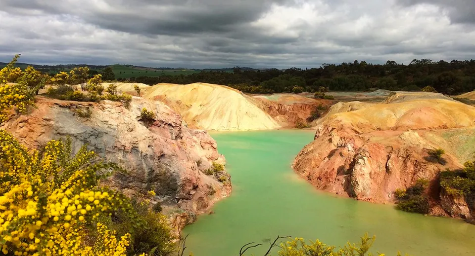 Un paesaggio con fiori selvatici gialli davanti a rocce colorate e un lago turchese mostra la natura intorno alla Kapunda High School.
