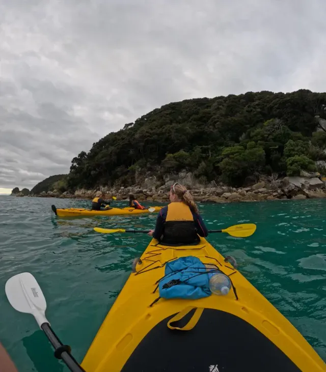 Kayak in mare tra rocce e vegetazione costiera in Nuova Zelanda