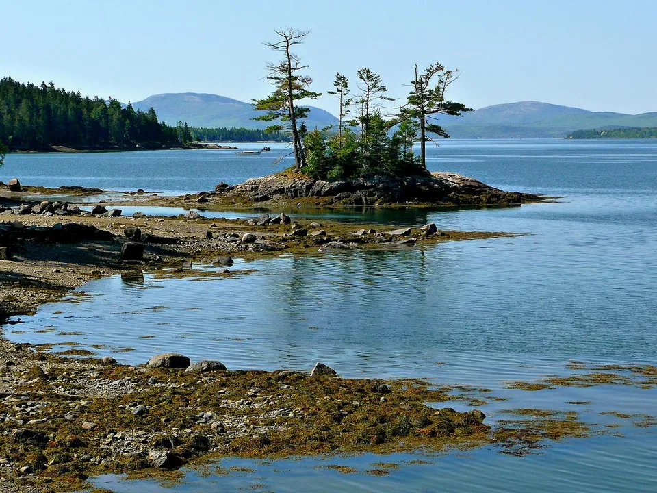Una piccola isola rocciosa con pini in una baia vicino alla Charlottetown Rural High School con colline sullo sfondo.