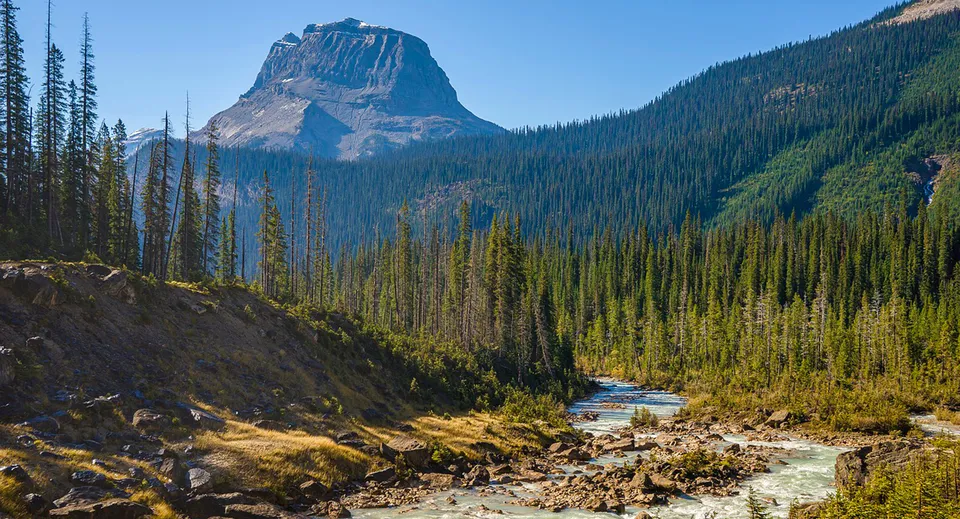 Un fiume scorre in un paesaggio montuoso con fitti boschi di conifere e una cima rocciosa.