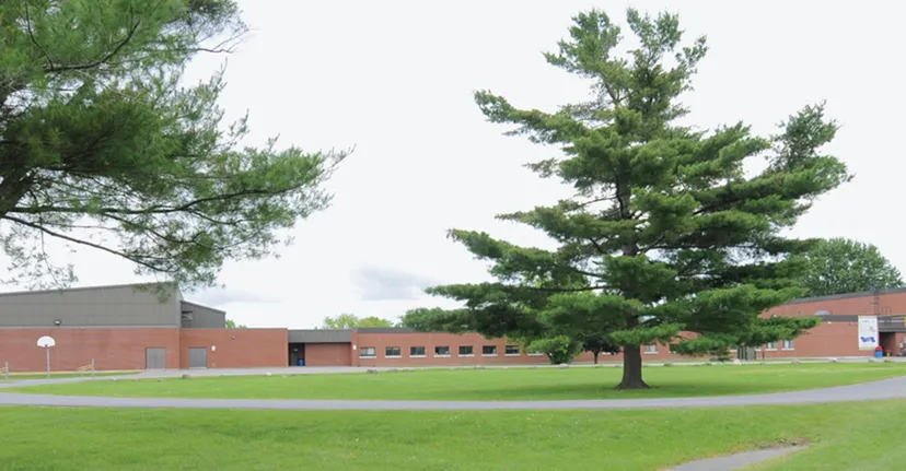 Un prato con un grande albero davanti ad edifici in mattoni nel campus della Char-Lan District High School.