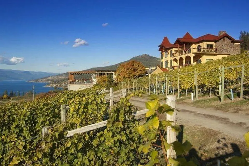 Un grande edificio accanto a un vigneto vicino alla Pleasant Valley Secondary School con vista su un lago.