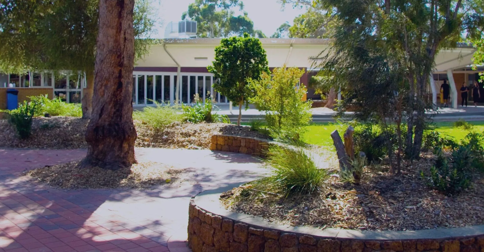 Un giardino ben curato con un sentiero e alberi nel campus della Kalamunda Senior High School.