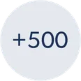 Über 500 Teilnehmerinnen und Teilnehmer