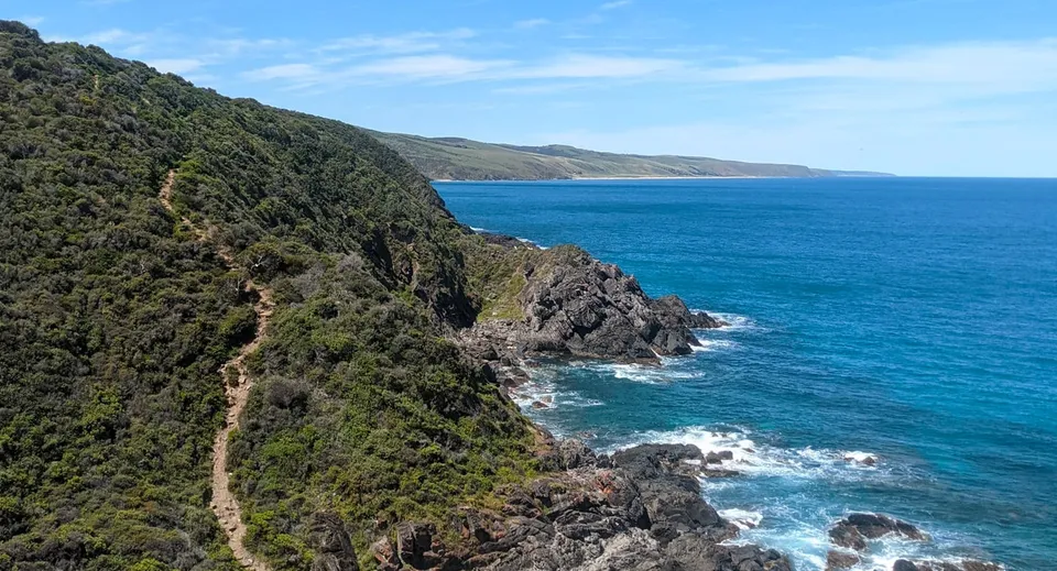 Scogliere rocciose con fitta vegetazione si affacciano sul mare blu profondo nel paesaggio costiero vicino alla The Heights School.
