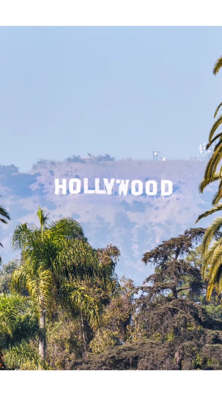 Hollywood: full day