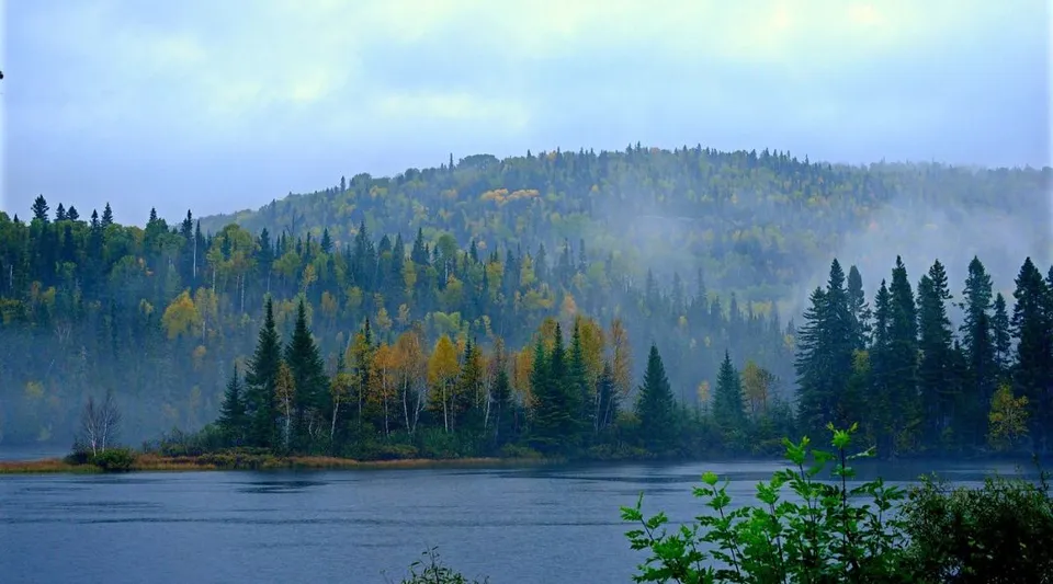 Un lago davanti a colline coperte da una fitta foresta e nebbia nei dintorni della Warner School.