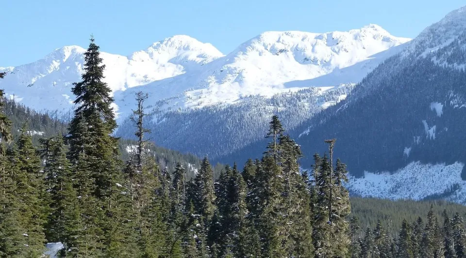 Montagne innevate dietro una fitta foresta di conifere nei dintorni della Mobile Central High.