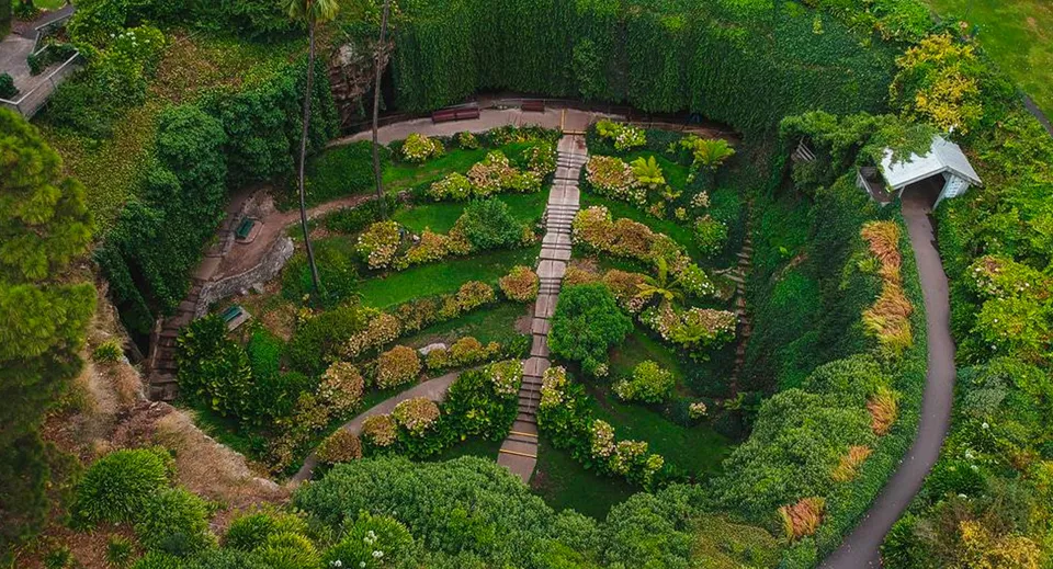Un ponte in legno attraversa una gola all'interno del terreno della Mount Gambier High School in mezzo a una rigogliosa vegetazione.