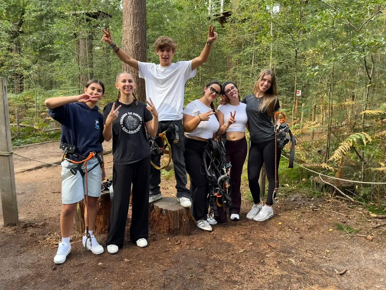 Sei ragazzi posano allegri in un parco avventura nel bosco con imbracature da arrampicata