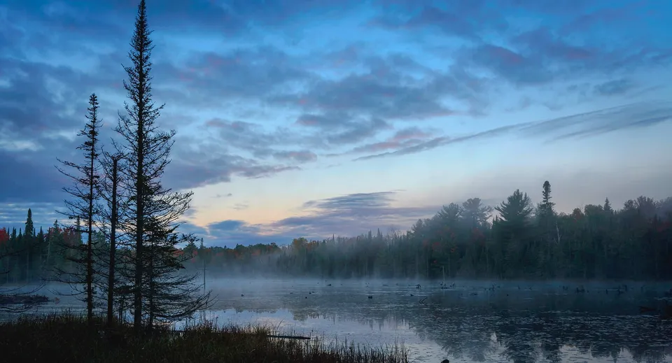 Un lago tranquillo circondato da una fitta foresta sotto un cielo scenografico al tramonto vicino alla Wallaceburg District High School.