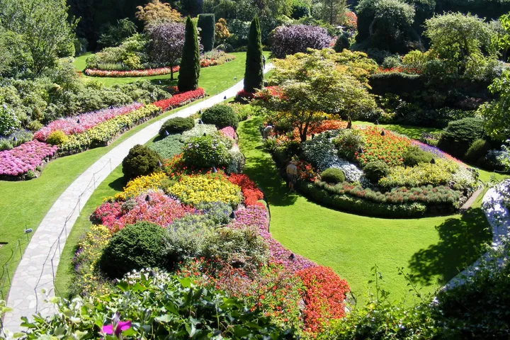 Bunte Blumenbeete und geschwungene Wege in den Butchart Gardens