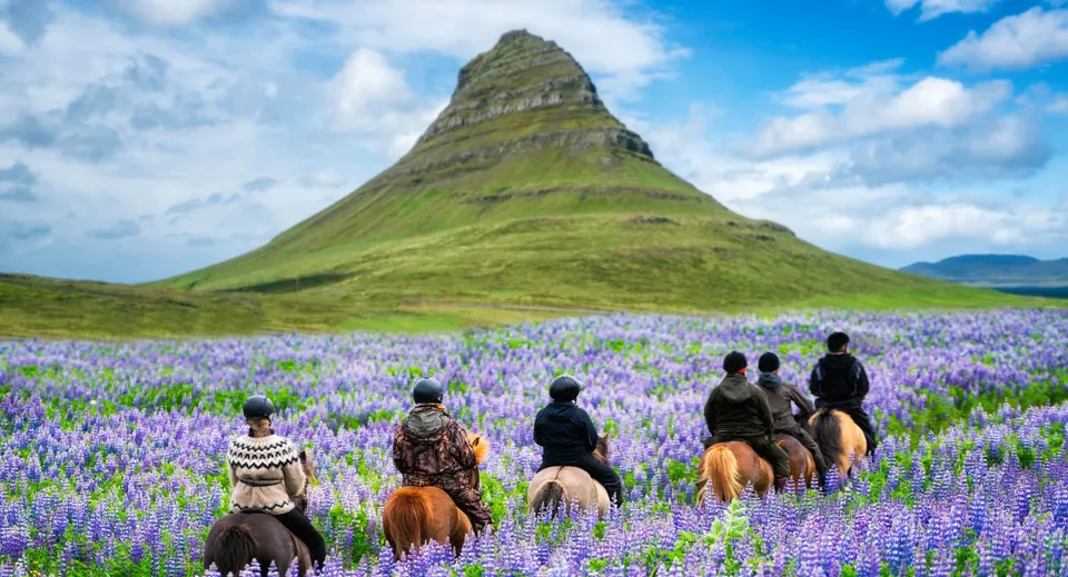 Studenti della Phoenix Magnet Academy cavalcano attraverso un campo di lupini viola davanti a una montagna verdeggiante.