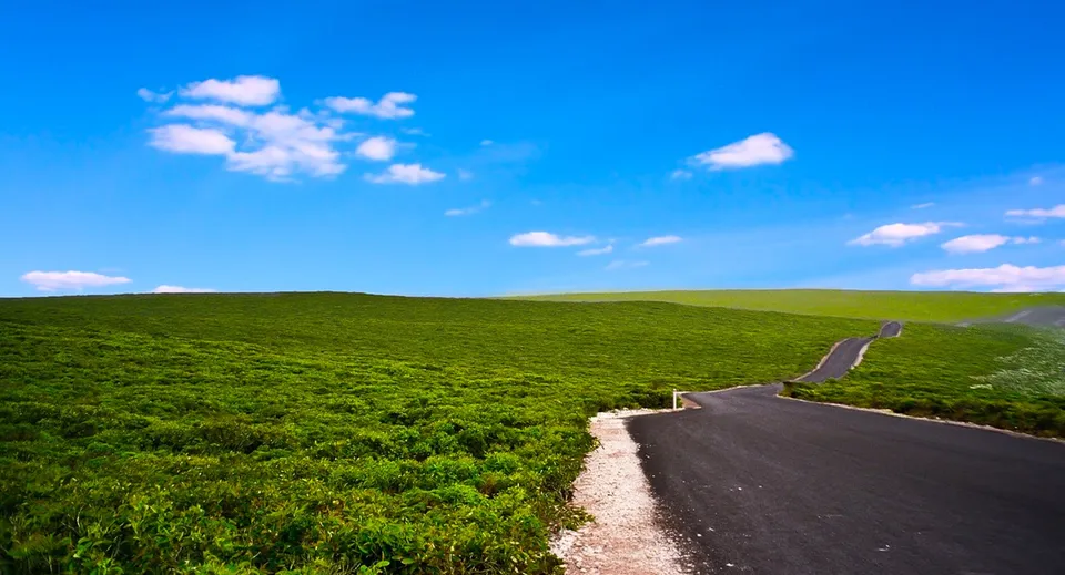 Una strada tortuosa attraversa un paesaggio collinare e verde sotto un cielo blu nel campus della Hallett Cove School.