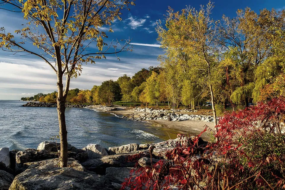 Un paesaggio autunnale con una sponda rocciosa e foglie colorate davanti alla Lambton Central Collegiate & Vocational School.