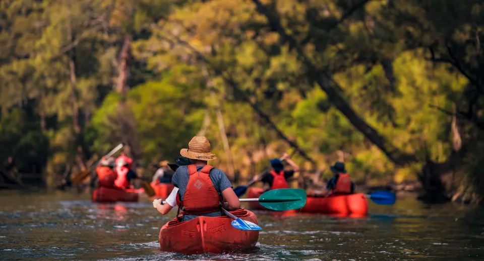 Un gruppo di studenti della Ormeau Woods State High School pagaia in kayak con giubbotti di salvataggio rossi lungo un fiume con una variopinta vegetazione autunnale.