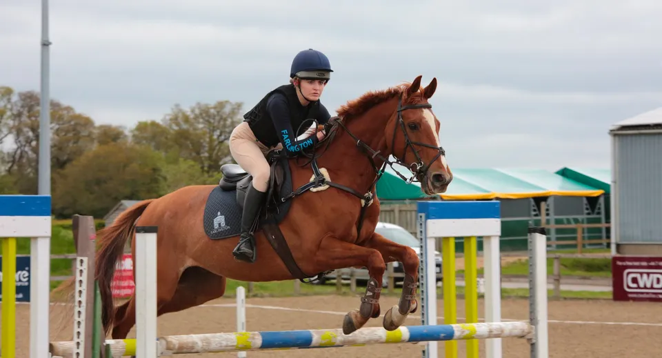 Un'alunna della Farlington School cavalca un cavallo marrone e salta un ostacolo colorato all'aperto.